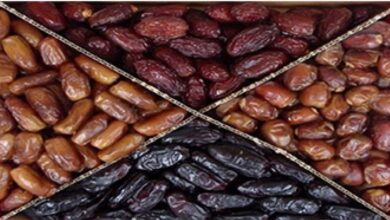 خرمای پیارم چیست و چه تفاوتی با خرمای مجول دارد ؟ (2 نکته مهم)