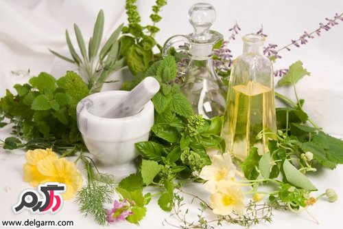 خواص و فواید دارویی و درمانی عرق پونه (2 نکته مهم)
