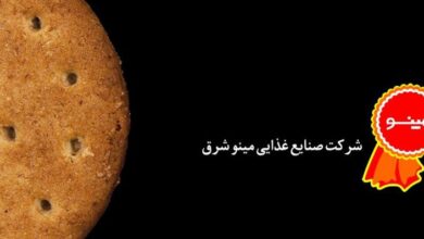معرفی ۱۵ نمونه از برترین بیسکویت های مینو (2 نکته مهم)