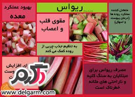 با خواص درمانی ریواس آشنا هستید؟