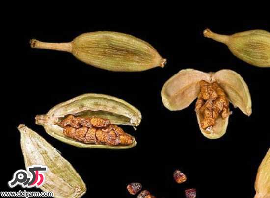 دانه ها ی گیاهی مفید برای درمان میگرن (2 نکته مهم) میگرن ، دانه گیاهی