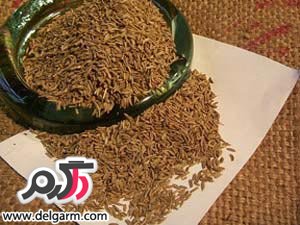دانه ها ی گیاهی مفید برای درمان میگرن (2 نکته مهم) میگرن ، دانه گیاهی