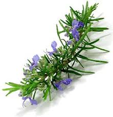 طب خانگی برای درمان و پیشگیری از بیماری ها (2 نکته مهم)