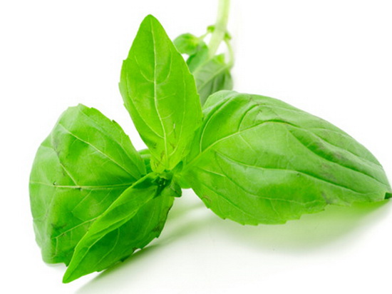 خواص ریحان چیست؟آشنایی با خواص درمانی و فوق العاده مفید ریحان (2 نکته مهم) خواص ریحان چیست؟آشنایی با خواص درمانی و فوق العاده مفید ریحان (2 نکته مهم)