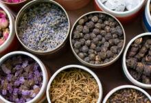 داروی گیاهی برای اعصاب،نسخه کامل طب سنتی برای بیماری های اعصاب شما (2 نکته مهم)
