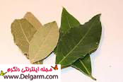 دندانهایتان را با برگ بو سفید کنید  (2 نکته مهم)