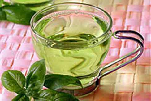 زمستان و دستور ده دمنوش گیاهی برای سرماخوردگی (2 نکته مهم) زمستان و دستور ده دمنوش گیاهی برای سرماخوردگی (2 نکته مهم)