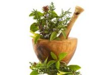 5 گیاه دارویی برای افزایش شیر مادر  (2 نکته مهم)