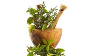 5 گیاه دارویی برای افزایش شیر مادر  (2 نکته مهم)