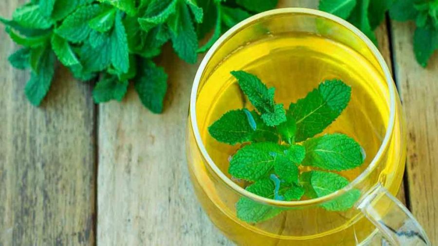خواص نعناع در بارداری : آیا مصرف نعنا در حاملگی برای جنین مضر است (2 نکته مهم)