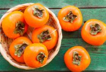 مصرف خرمالو در بارداری : خواص و تاثیر بی نظیر خرمالو در بارداری (2 نکته مهم)