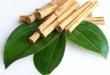 برای پیشگیری از فقر آهن و پوكی ‌استخوان از این ادویه استفاده کنید (2 نکته مهم)