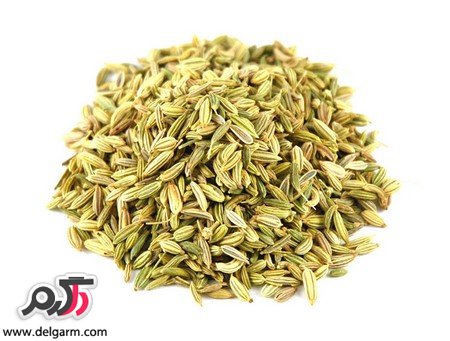 خواص رازیانه همراه با دانستنی های آن