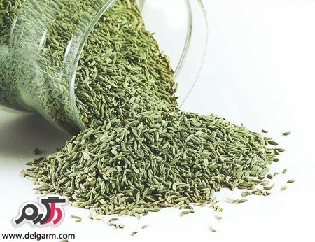 خواص رازیانه همراه با دانستنی های آن