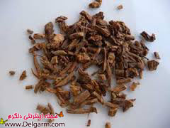 طب سنتی و درمان افسردگی