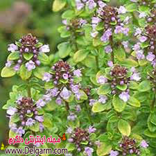 طب سنتی و درمان افسردگی