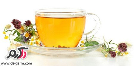 خواص درمانی گل پنیرک و دمنوش آن (2 نکته مهم)