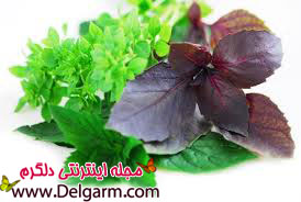 گیاه ریحان و طب سنتی آن