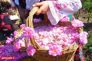 تابستان امسال با عرقیات گیاهی