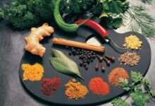 گیاهان ضد نفخ (2 نکته مهم)
