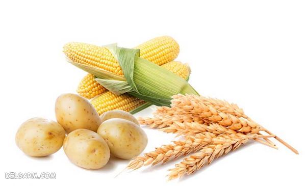 رژیم متعادل | رژیم متعادل چیست | بهترین رژیم غذایی | رژیم غذایی لاغری
