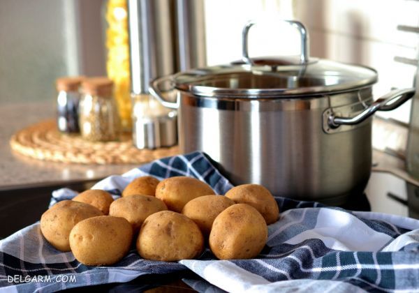 رژیم سیب زمینی