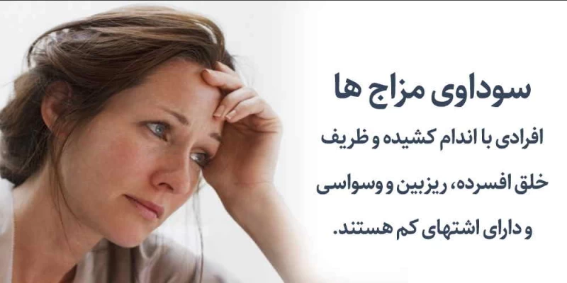 آشنایی با انواع مزاج‌ ها و خصوصیات اخلاقی هرکدام
