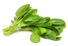 ۴ دلیل خوردن اسفناج برای کاهش وزن و عوارض مصرف بیش از حد (2 نکته مهم)