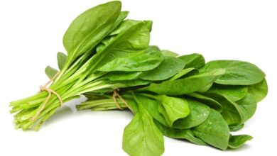 ۴ دلیل خوردن اسفناج برای کاهش وزن و عوارض مصرف بیش از حد (2 نکته مهم)