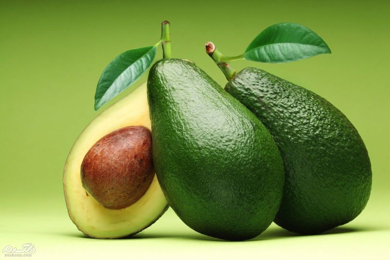 میوه آووکادو