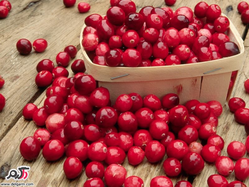  خواص کرن بری و لاغری
