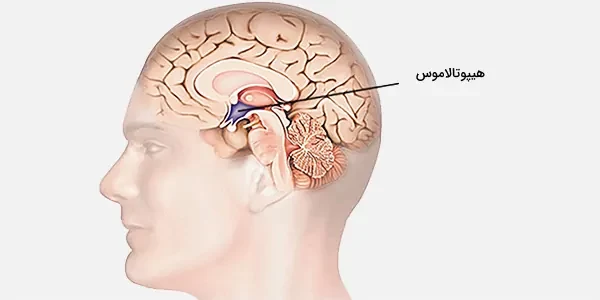 چرا بدن تب‌ می‌کند