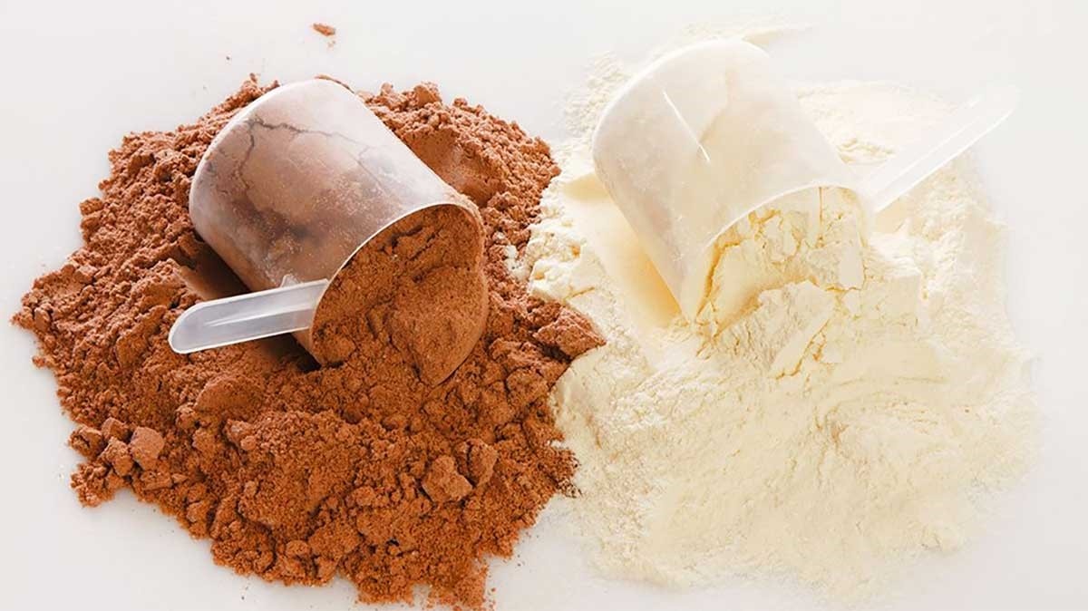 فرق گینر با وی چیست؟ پروتئین وی بهتر است یا گینر؟