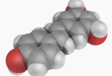رسوراترول (resveratrol) چیست؟ (2 نکته مهم)