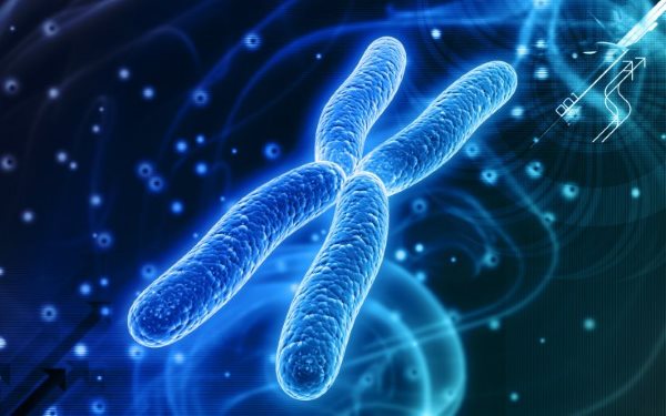 DNA حیوانات در برابر گیاهان