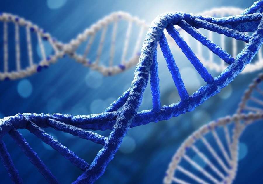 DNA چیست ؟ همه چیز درباره دی ان ای (2 نکته مهم)