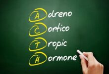 هورمون آدرنوکورتیکوتروپین یا ACTH چیست ؟ (2 نکته مهم)