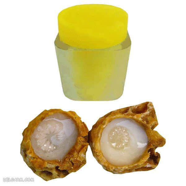 ژل رویال