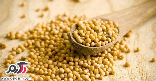 افزایش کیفیت و توان باروری و جنسی آقایان