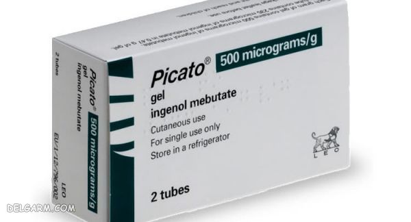 Ingenol mebutate 