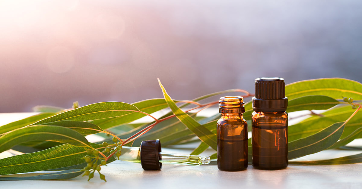 فواید معجزه آسای روغن اوکالیپتوس (2 نکته مهم) فواید معجزه آسای روغن اوکالیپتوس (2 نکته مهم)