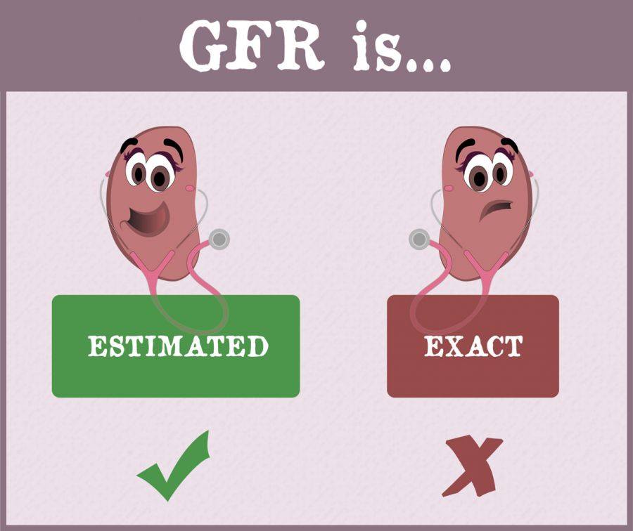 GFR چیست و چه کاربردی دارد ؟ (2 نکته مهم)