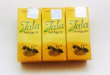آیا روغن مورچه واقعا میتواند از رشد مو های زائد جلوگیری کند؟ (2 نکته مهم)