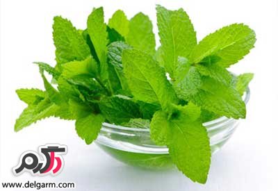 از این داروی گیاهی غافل نشوید (2 نکته مهم) از این داروی گیاهی غافل نشوید (2 نکته مهم)