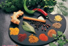 از تاریخچه طب سنتی و گیاه درمانی چه میدانید؟مطلبی خواندنی درباره طب گیاهی (2 نکته مهم)