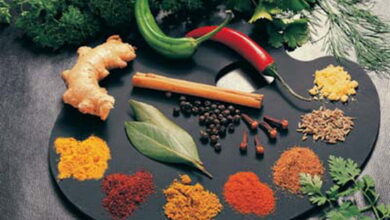از تاریخچه طب سنتی و گیاه درمانی چه میدانید؟مطلبی خواندنی درباره طب گیاهی (2 نکته مهم)