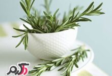 با خواص درمانی رزماری یا اکلیل کوهی بیشتر آشنا شویم. (2 نکته مهم)