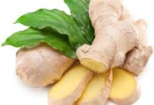 با خواص ومضرات زنجبیل بیشتر آشنا شوید (2 نکته مهم)