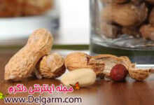 بادام زمینی و طب سنتی آن (2 نکته مهم)