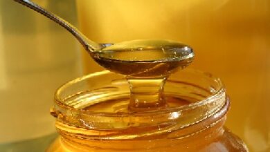 باکتری اسید لاکتیک در عسل تازه جایگزینی برای آنتی‌بیوتیک‌ها (2 نکته مهم)